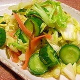 ビニール袋deギュッと季節の野菜1㎏浅漬け